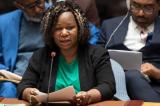 L'ONU s'apprête à abandonner l'est de la RDC en remettant la situation entre les mains des initiatives africaines  