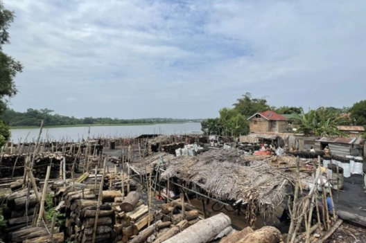 Kisangani : la dépendance au bois de chauffe accentue la pression sur la forêt équatoriale