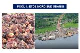 EIES des sites devant abriter les CPEJAB et des CCDMI - Pool 4 : ETDS Nord-Sud Ubangi