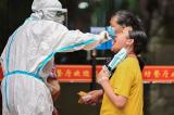 Le coronavirus aurait infecté le premier être humain en Chine au milieu de l'automne 2019