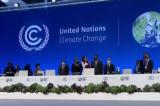 COP26 à Glasgow : la RDC espère le « décaissement effectif des fonds » pour la protection des forêts 