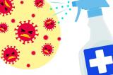 Coronavirus : le Covid-19 prospère dans les toilettes, mais ne survit pas au désinfectant