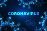 Coronavirus : le vrai et le faux des rumeurs et idées reçues sur le Covid-19