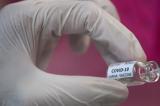 Coronavirus: Moderna, Pfizer, Sanofi... le point sur les vaccins contre le Covid-19 les plus prometteurs