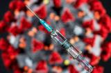 Plus de 14 000 volontaires pour tester des vaccins contre le Covid-19