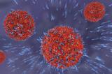 Coronavirus : des scientifiques affirment avoir développé un 