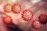 Le coronavirus pourrait-il devenir encore plus dangereux? Un scientifique répond