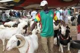 Eid et COVID-19: pour certains Sénégalais, une Tabaski à haut risque