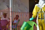 La peste a fait son retour en RDC : l'état des lieux de la maladie dans le monde