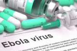 Ebola : 4 000 doses de vaccins contre l'épidémie déjà disponibles