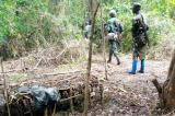 Beni : 5 autres corps découverts à Kisima, le bilan de la dernière attaque s’alourdit à 17 civils massacrés