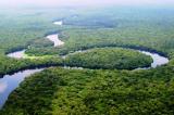 Bassin du Congo : la Fondation Bezos annonce un don de 40 millions USD pour la protection de la biodiversité