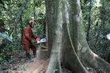 Déforestation du Bassin du Congo : l’Allemagne soutient la RDC à travers des alternatives aux communautés locales pour garantir le développment durale