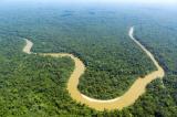 Partenariat pour les Forêts du Bassin du Congo : Eve Bazaïba prône un développement économique décarboné pour mobiliser les finances
