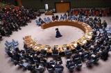  Le CS de l’ONU préoccupé par les « interventions militaires directes » du Rwanda