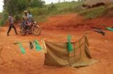 Maniema : tracasseries à répétition aux barrières de Pangi