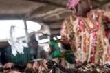 La viande de brousse ne fait plus recette en raison d'Ebola à Mbandaka 