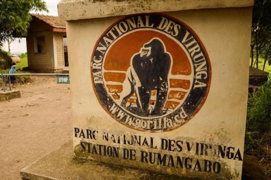 Le parc des Virunga fête ses 99 ans d’existence, partiellement occupé par le M23