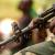 Infos congo - Actualités Congo - -Lutte contre les ADF et M23 dans l'Est du pays : 