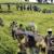Infos congo - Actualités Congo - -Guerre à l'Est de la RDC : selon le nouveau rapport de l'ONU, en plus des militaires RDF sur le sol congolais, le Rwanda a pris la direction des opérations dans la rébellion menée par le M23