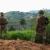 Infos congo - Actualités Congo - -Poursuite des combats dans les Kivu malgré les négociations à Doha sous la médiation qatarie