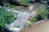 Lingwala : plantes et immondices font bon ménage dans la rivière Gombe