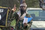 Le leader de Boko Haram Shekau refait surface, divisions au sein du groupe jihadiste nigérian