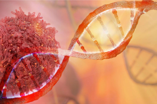 Les tumeurs ne seraient pas forcément induites par des mutations génétiques