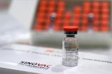 Vaccination contre la Covid-19 : l'OMS donne son homologation d'urgence au vaccin chinois Sinovac 